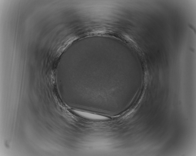 X0000100381353200806271325