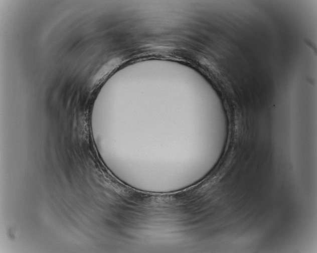 X0000100381354200806271325