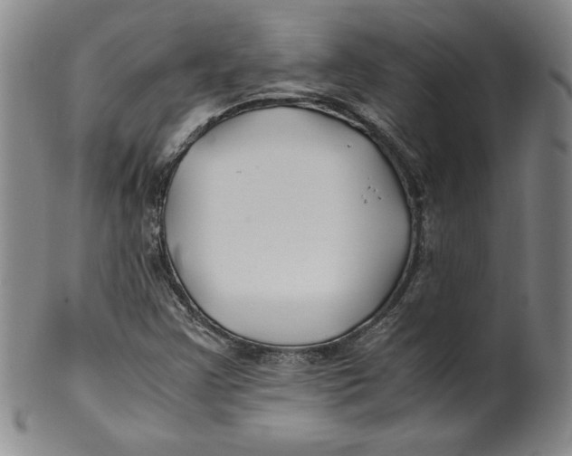 X0000100381355200806271324