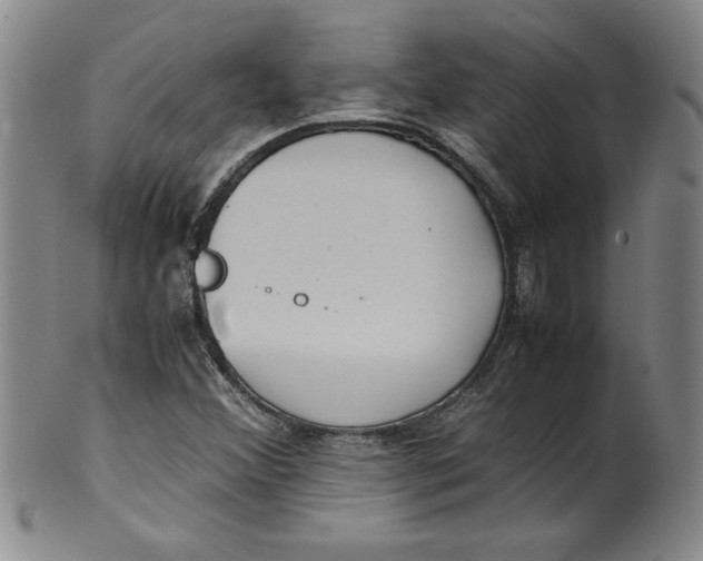 X0000100381356200806271324