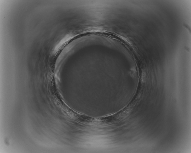 X0000100381359200806271324