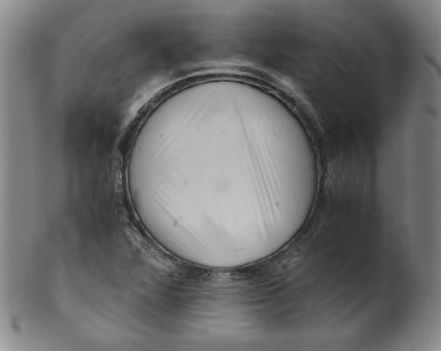 X0000100381360200806271324