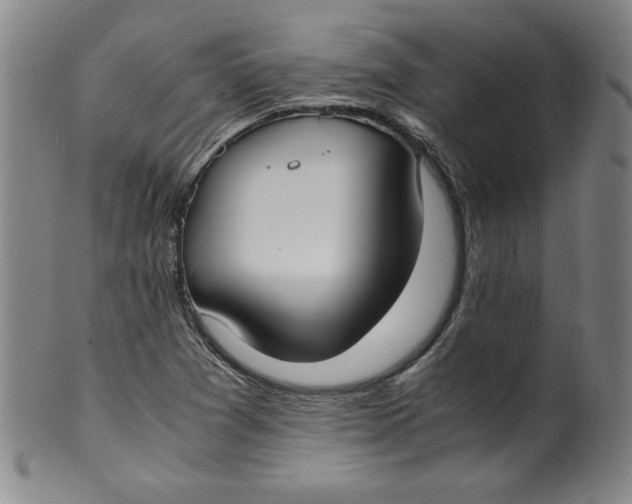 X0000100381361200806271324