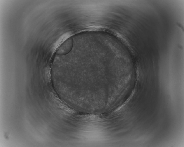 X0000100381362200806271324