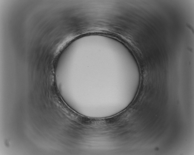 X0000100381363200806271324