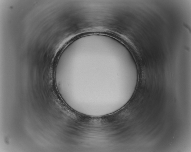 X0000100381364200806271324