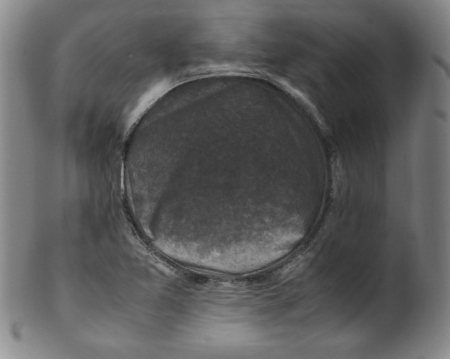 X0000100381365200806271324