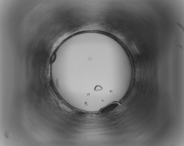 X0000100381366200806271324