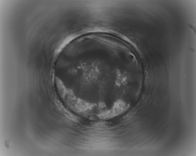X0000100381367200806271324