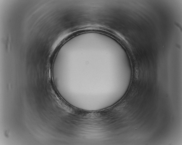 X0000100381368200806271324
