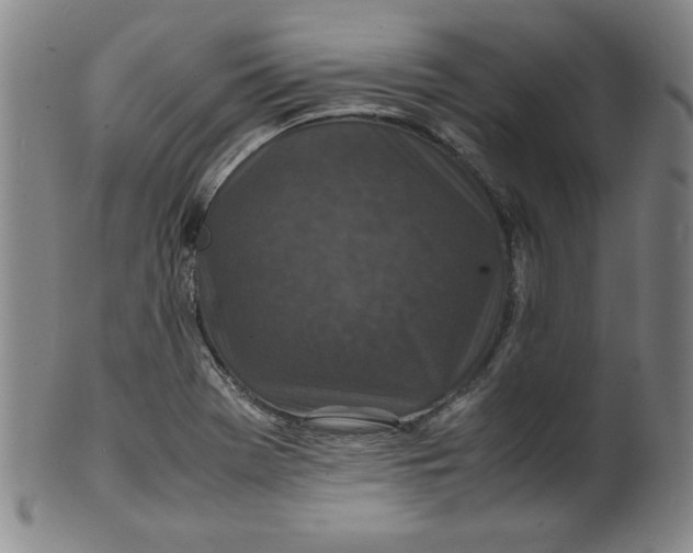 X0000100381369200806271324