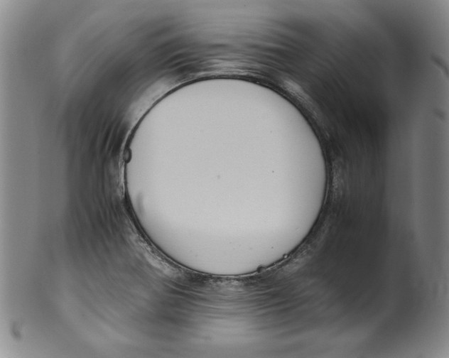 X0000100381370200806271324