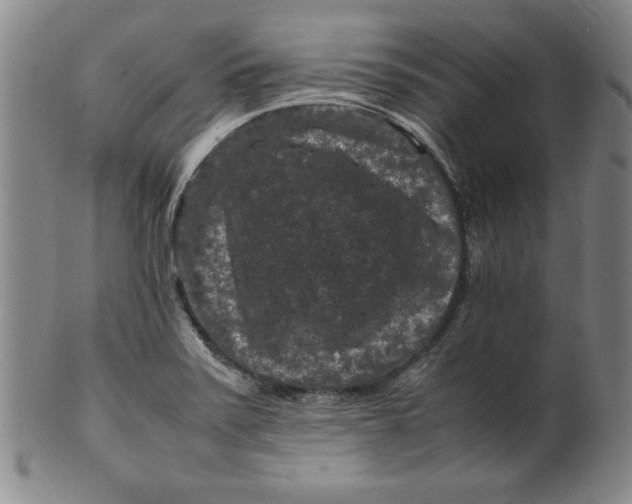 X0000100381371200806271324