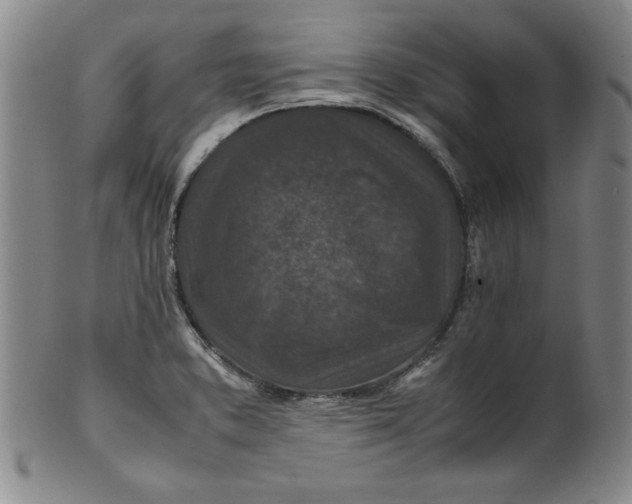 X0000100381373200806271324