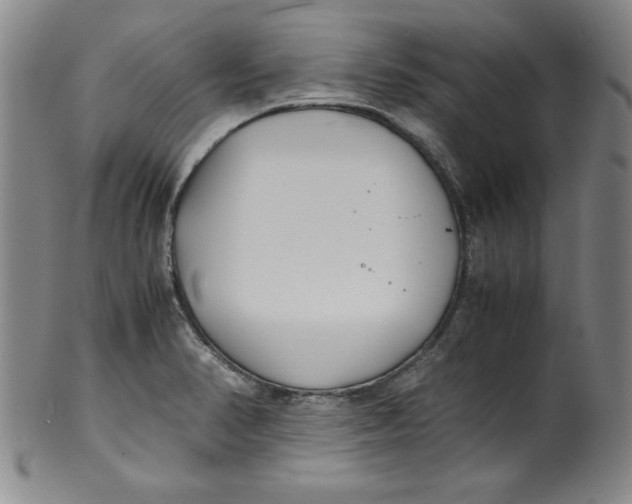 X0000100381374200806271324