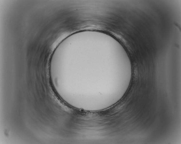 X0000100381375200806271324