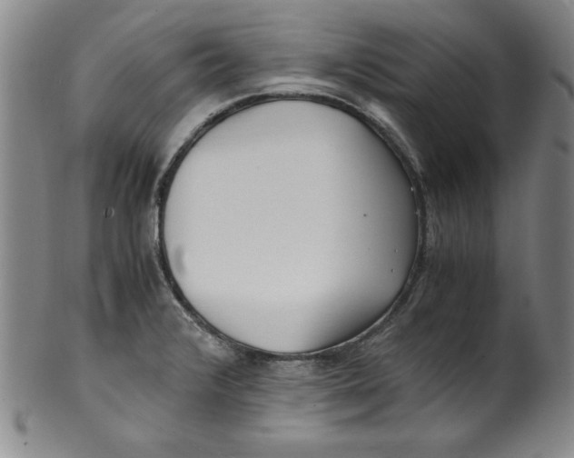 X0000100381376200806271324