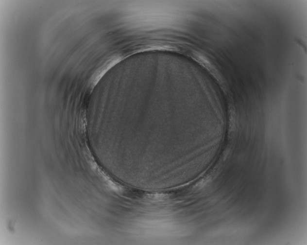 X0000100381377200806271324
