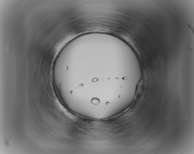 X0000100381379200806271324