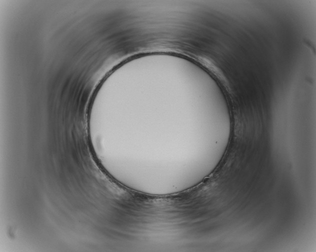 X0000100381380200806271324