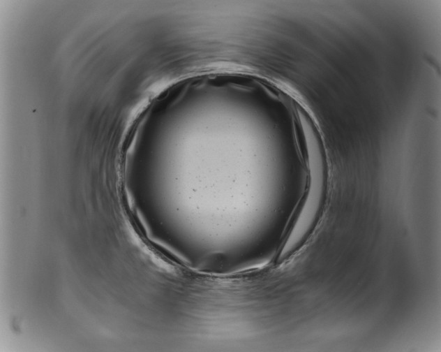 X0000100381381200806271324