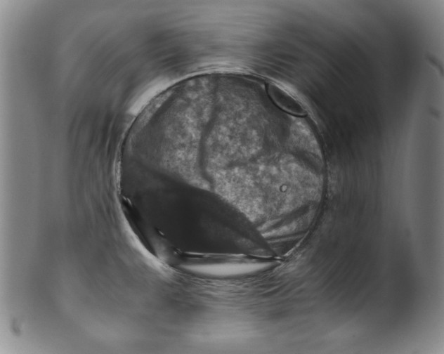 X0000100381383200806271324