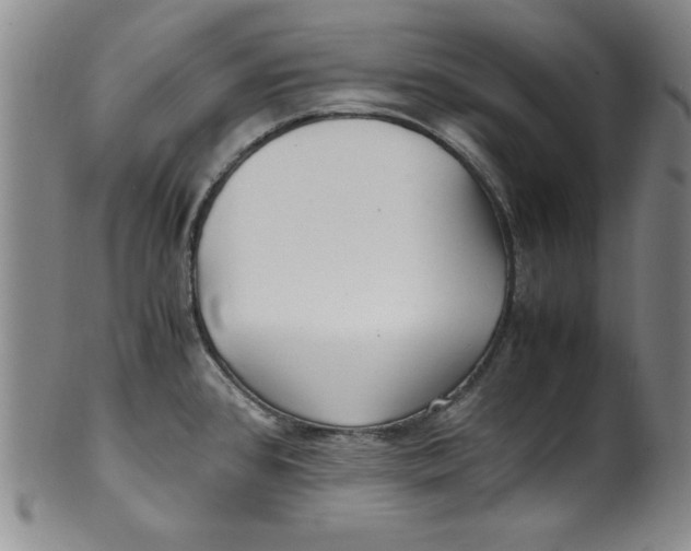 X0000100381384200806271324