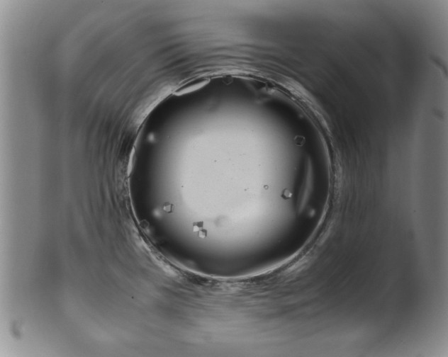 X0000100381385200806271324