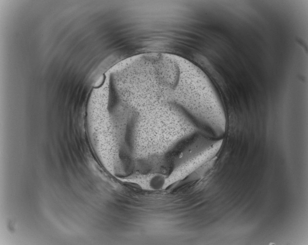 X0000100381386200806271324