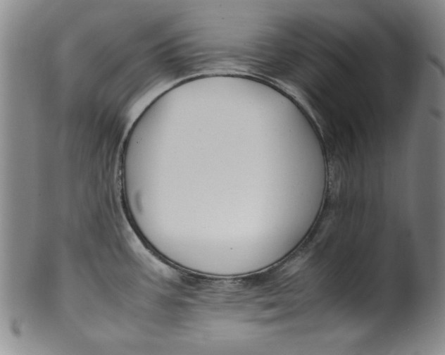 X0000100381387200806271324