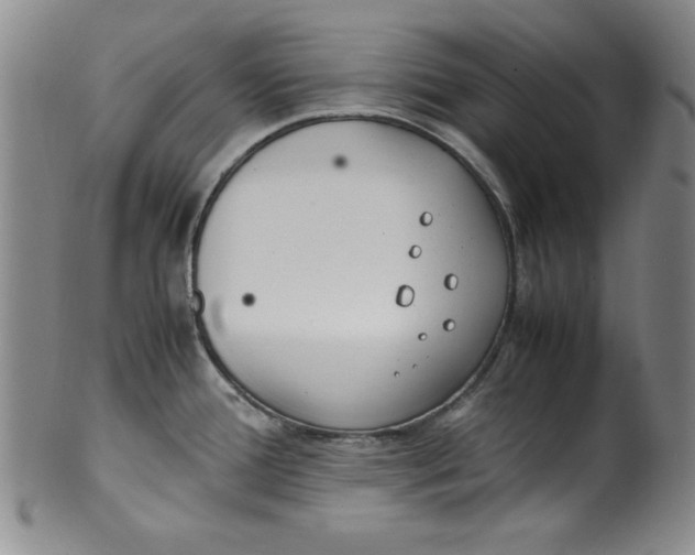 X0000100381388200806271324
