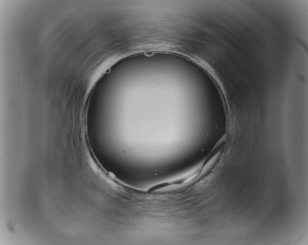 X0000100381389200806271324