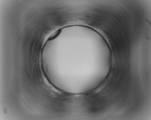 X0000100381390200806271324