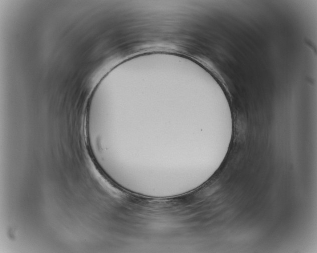 X0000100381391200806271324