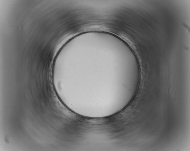 X0000100381392200806271324