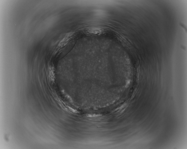 X0000100381394200806271323