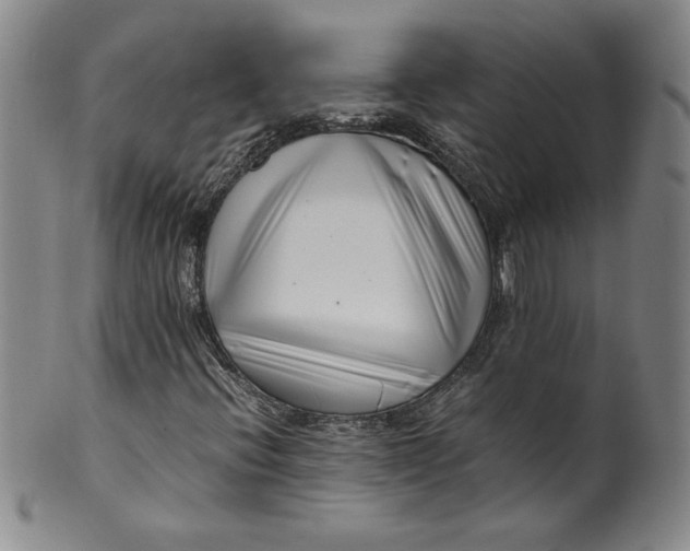 X0000100381396200806271323