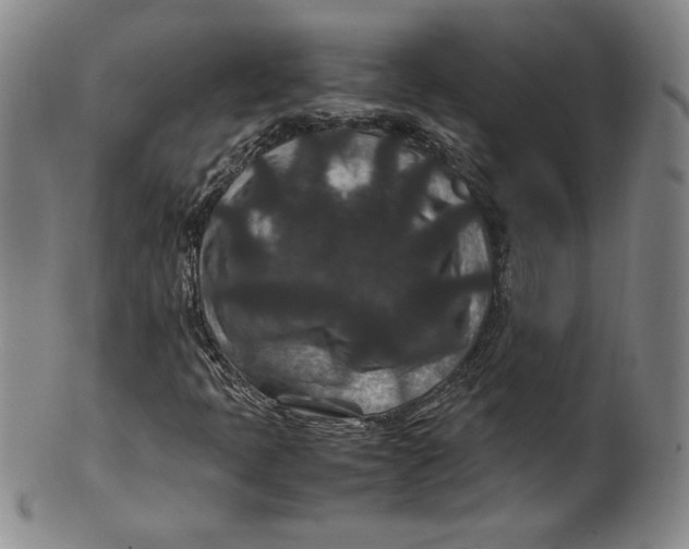X0000100381397200806271323
