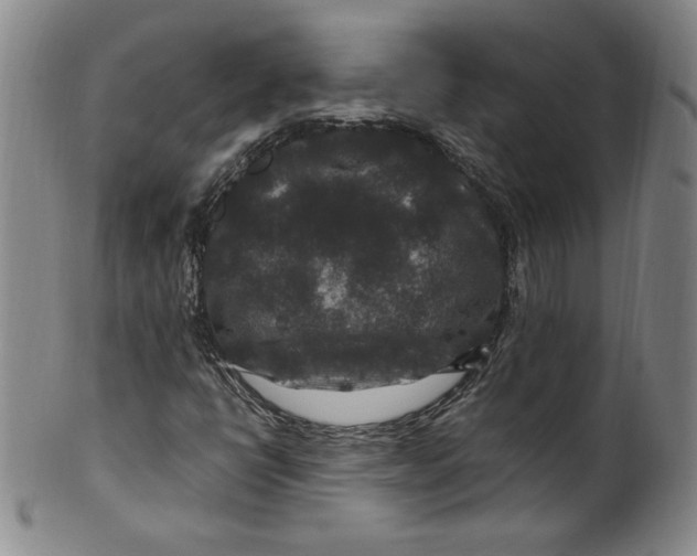 X0000100381398200806271323