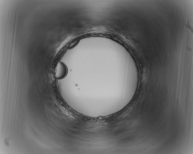 X0000100381400200806271323