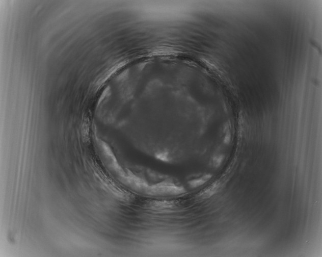 X0000100381401200806271323