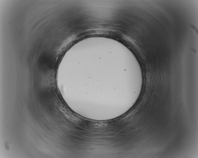 X0000100381403200806271323