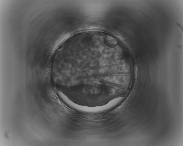 X0000100381405200806271323