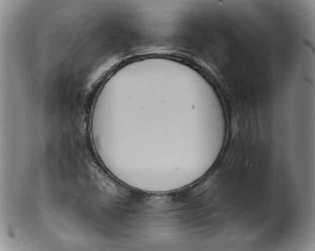 X0000100381406200806271323