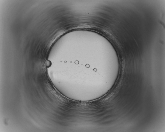 X0000100381409200806271324