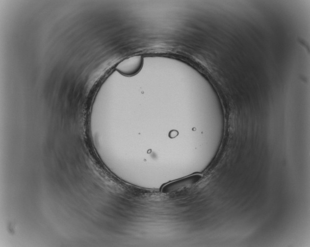 X0000100381410200806271324
