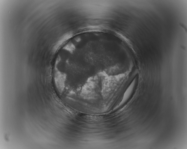 X0000100381411200806271324