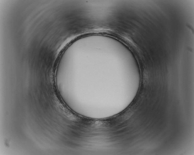 X0000100381412200806271324