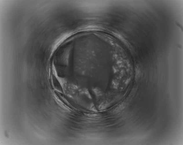 X0000100381413200806271324