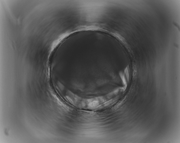 X0000100381414200806271324